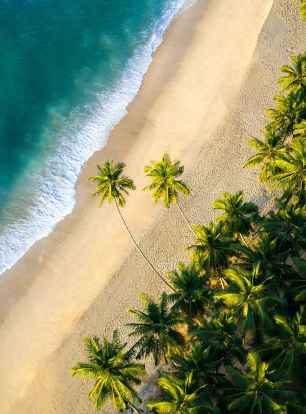 amal-prasad-ztFkvmLKTcY-unsplash