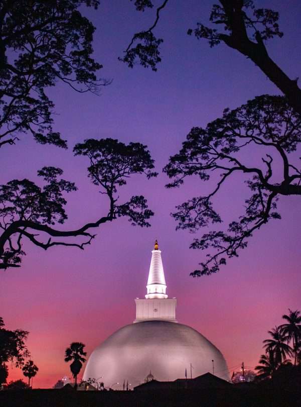 chathura-anuradha-subasinghe-WsNp3rxrK-M-unsplash