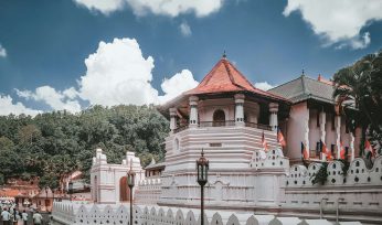 promodhya-abeysekara-rdrGpquZ1Hc-unsplash